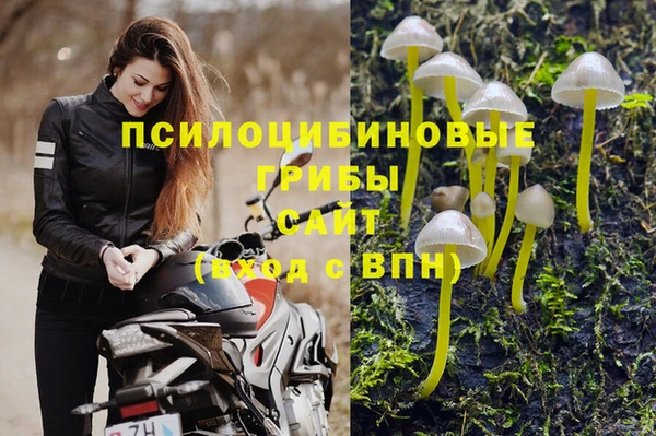 МДПВ Елизово