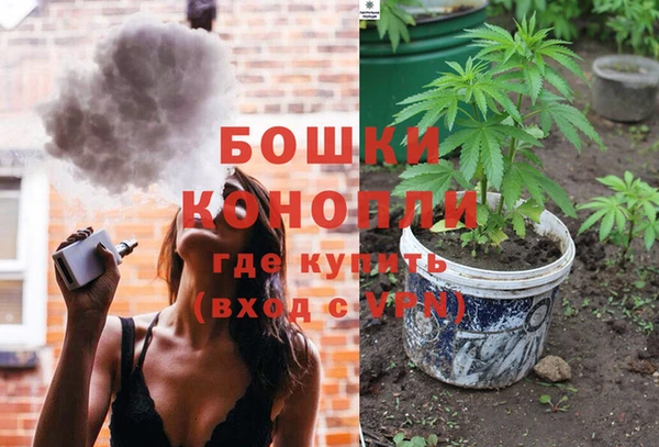 МДПВ Елизово